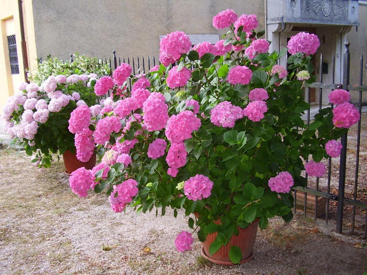 Agriturismo Dea Valfabbrica Eksteriør billede